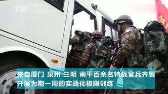 长途奔袭的明星,驰骋千里——长途奔袭的明星传奇
