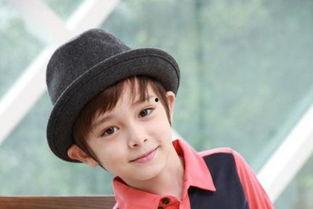 名字带涛的明星,揭秘名字带“涛”的明星风采