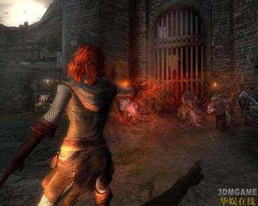 巫师空间新款爆料视频,神秘力量觉醒，奇幻冒险再启程