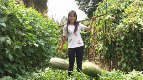 吃瓜群众直播过来的,吃瓜群众视角下的娱乐圈风云