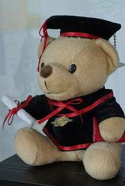 熊仔网红,网络红人的崛起与影响力