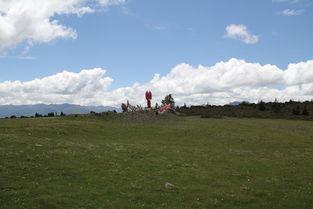 请叫我高原网红图片高清