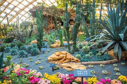 温岭网红植物园门票,门票背后的绿色秘境之旅