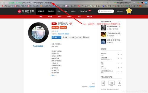 头条图文中插入音乐,头条图文中的旋律之旅