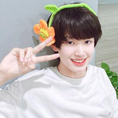 张泽禹最新爆料图片大全